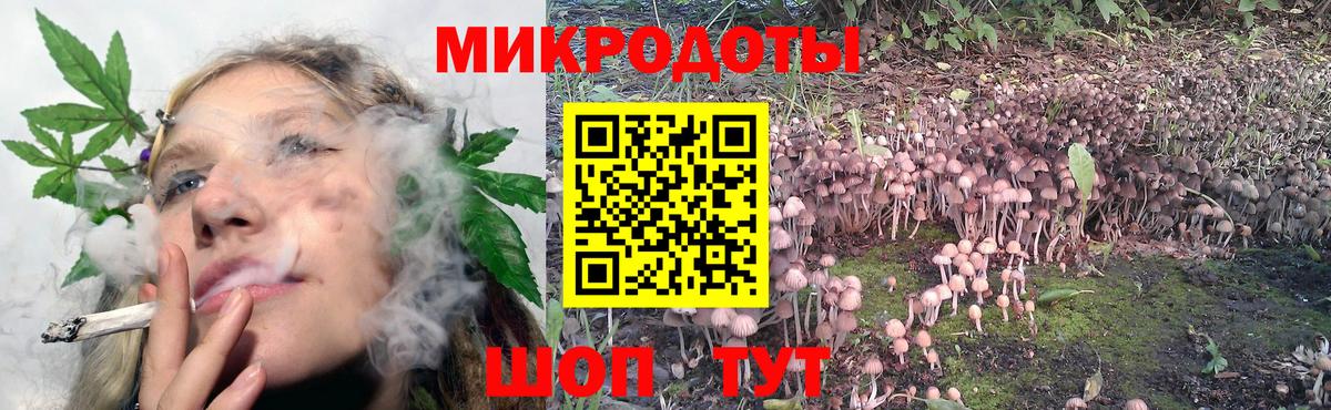 Бердск  Галлюциногенные грибы прущие грибы  Вход с VPN 
